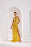 Li Beirut M1007