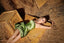 Nour Fathallah 658