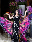 Fouad Sarkis 2381